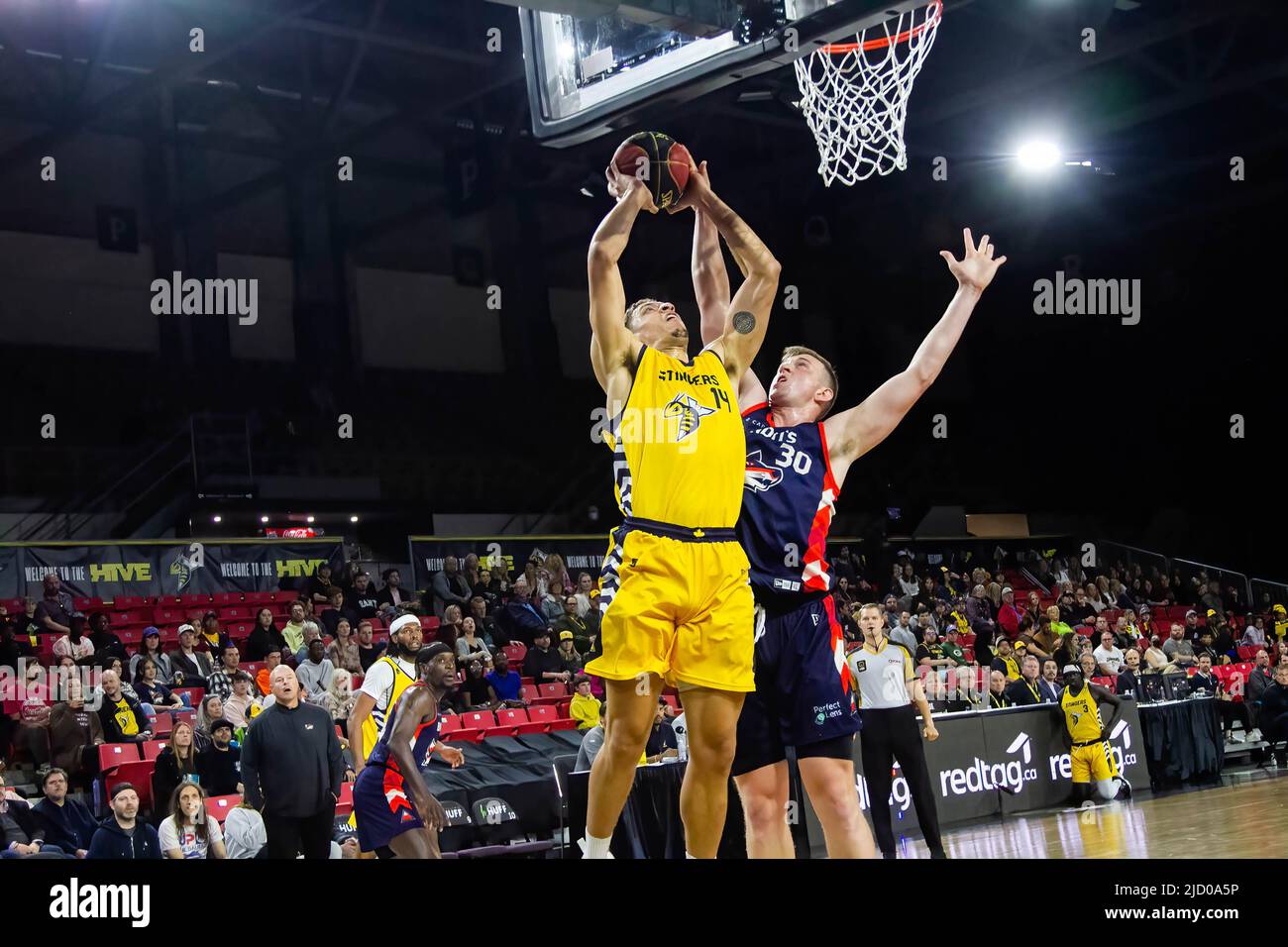 Edmonton, Kanada. 15.. Juni 2022. Edmonton's #14 Brody Clarke (vorne) und Fraser Valley's #38 Thomas Kennedy wurden während des Spiels der Canadian Elite Basketball League zwischen Fraser Valley Bandits und den Edmonton Stingers im Edmonton Expo Center in Aktion gesehen. (Endergebnis; Fraser Valley Bandits 84:81Edmonton Stingers). (Foto von Ron Palmer/SOPA Images/Sipa USA) Quelle: SIPA USA/Alamy Live News Stockfoto