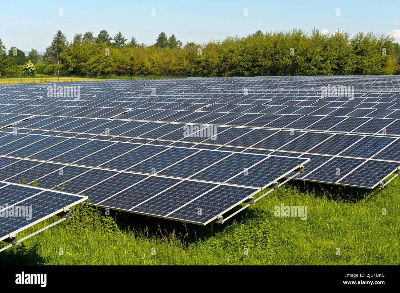 Solarmodul im Solarpark Vogtsburg, Vogtsburg, Kaiserstuhl, Baden-Württemberg, Deutschland Stockfoto