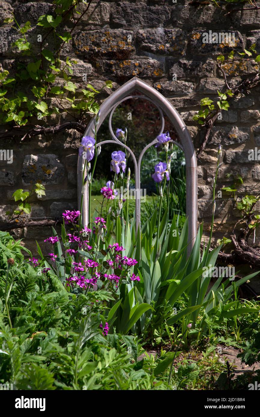 gotischer Bogenspiegel im Frühlingsgarten gegen Steinmauer mit lila Irisblüten im englischen Garten, England Stockfoto