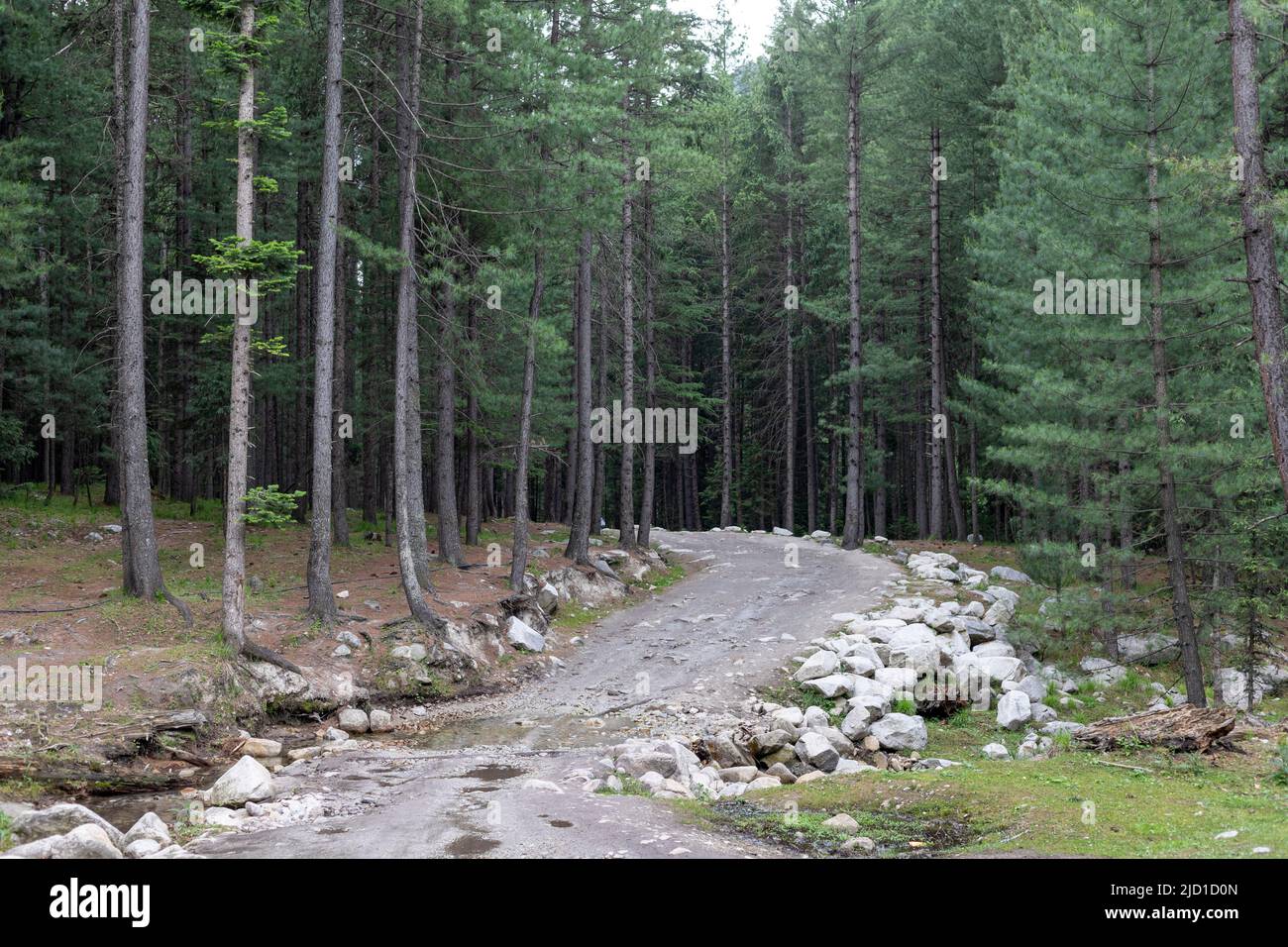 Unbefestigte Straße im Kumrat Wald Upper Dir, KPK, Pakistan Stockfoto