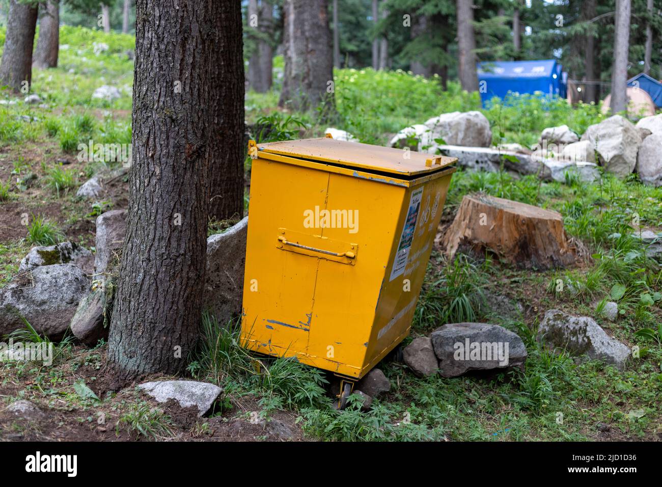 Mülleimer im Wald unter einem Baum Stockfoto