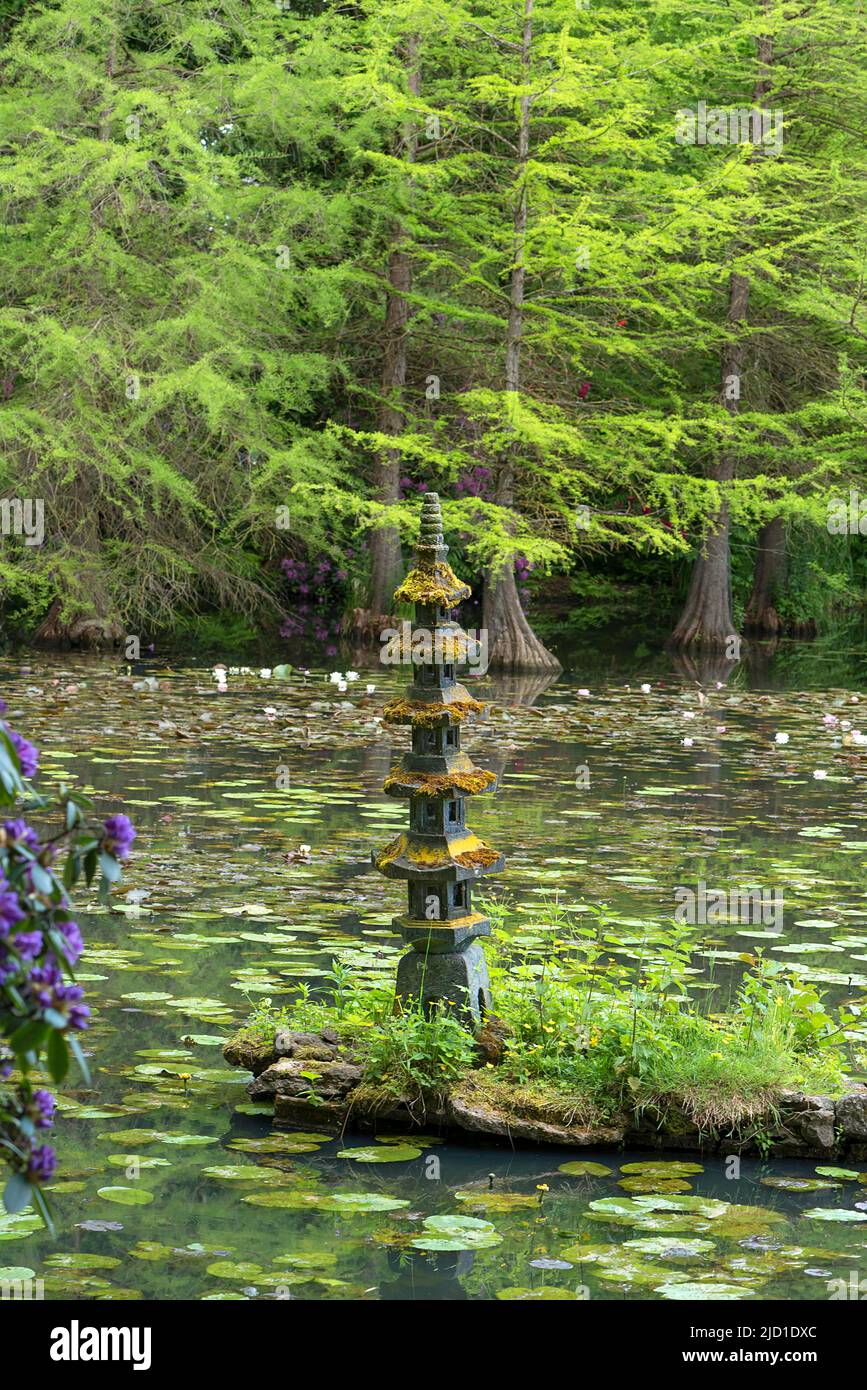 Kleine Pagode im See, hinten echte Weißkopfzypressen (Taxodium destichum) im Schlosspark Dennenlohe, Mittelfranken, Bayern, Deutschland Stockfoto