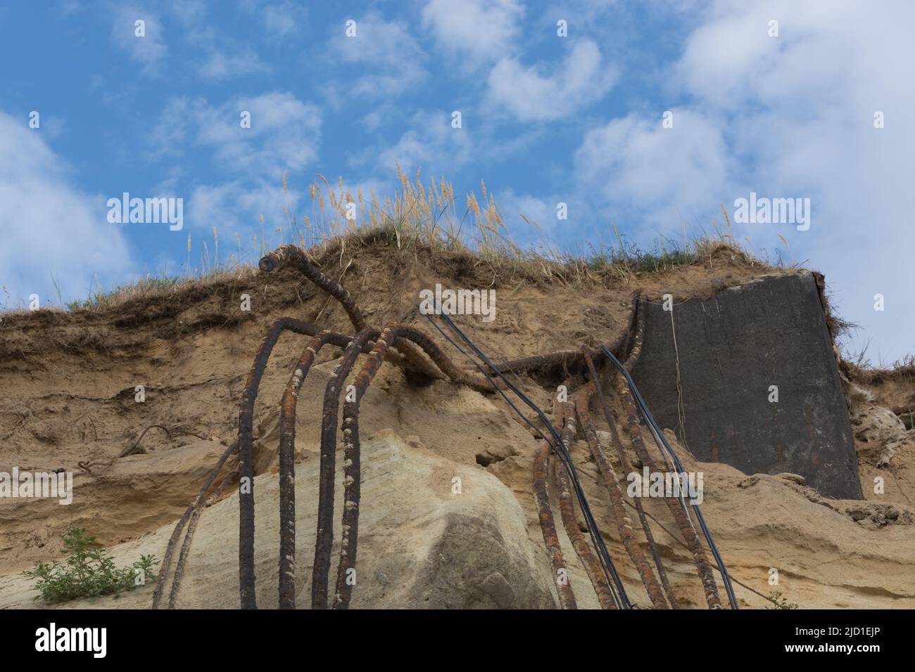 Schwalben auf den Klippen der Stadt Ahrenshoop auf der Ostseeinhalbinsel Darss in Deutschland im Sommer. Stockfoto