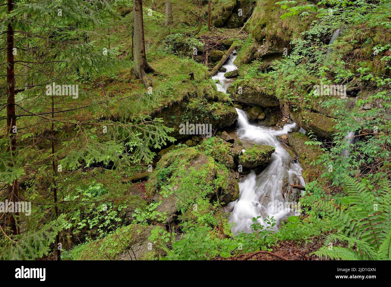 Hinang Wasserfall, Wasserfallstufen in der Schlucht, Hinang, Allgäu Alpen, Allgäu, Bayern, Deutschland Stockfoto