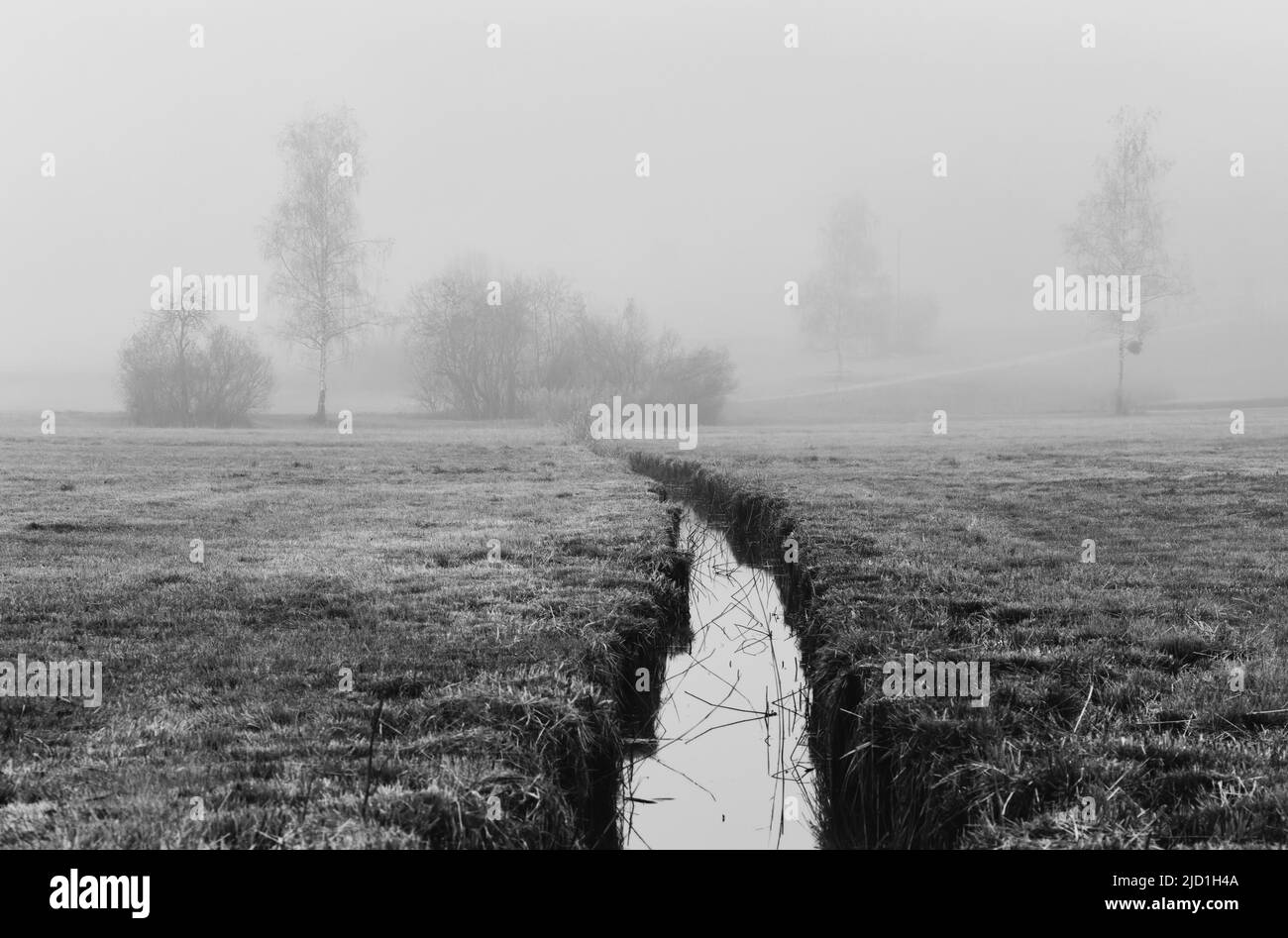 Schwarz-weiß, Moorlandschaft mit Bach, im Nebel, Bubikon, Schweiz Stockfoto