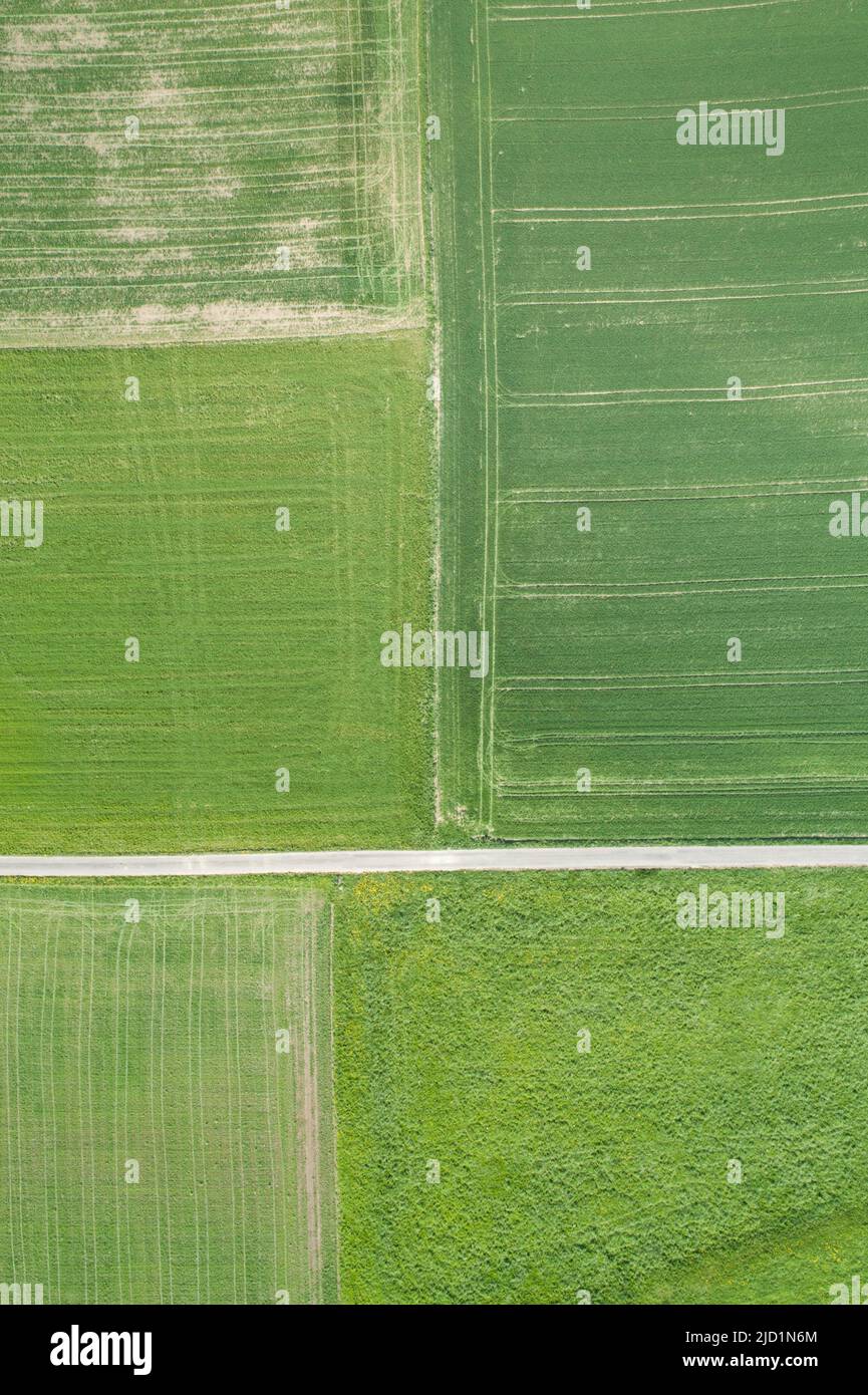 Luftaufnahme einer geraden Feldstraße durch grüne Agrarlandschaft, Frühling im Zürcher Oberland, Schweiz Stockfoto