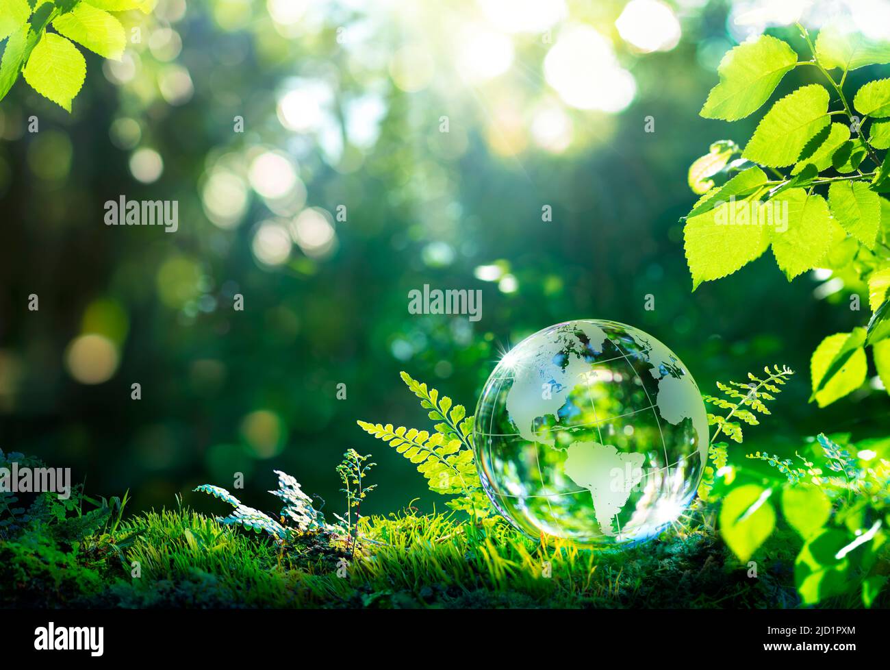 Umwelt. Glaskugel Auf Grasmoos Im Wald - Grüner Planet Mit Abstrakten, Unfokused Bokeh-Lichtern - Umweltschutzkonzept Stockfoto
