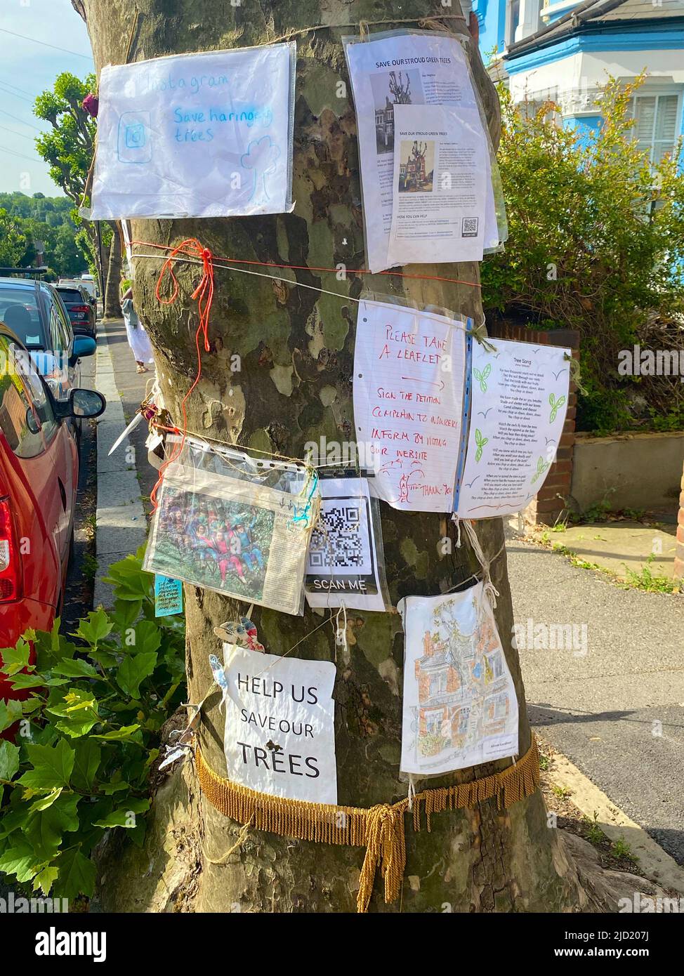 London, Großbritannien. 17.. Juni 2022. Notizen, Gedichte und Bilder, die einen Baum aus dem Londoner Flugzeug (Platanus × acerifolia) schmücken, der in Stroud Green, Haringey, London, Großbritannien, gefällt werden soll. Der Londoner Stadtteil Haringey plant, den 100 Jahre alten Baum sofort zu Fall zu bringen, und die Demonstranten hoffen, dass diese Aktion durch die Besetzung (ein Protestant lebt derzeit in einer Hängematte in den Zweigen) verzögert oder vereitelt werden kann. Kredit: Michael Preston/Alamy Live Nachrichten Stockfoto