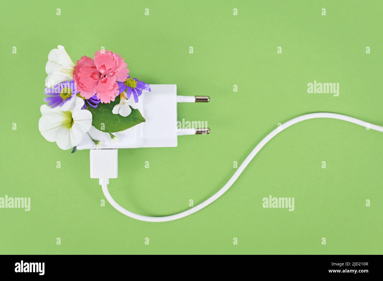 Konzept für erneuerbare Energien mit Stromkabel und Stecker mit Blumen auf grünem Hintergrund Stockfoto