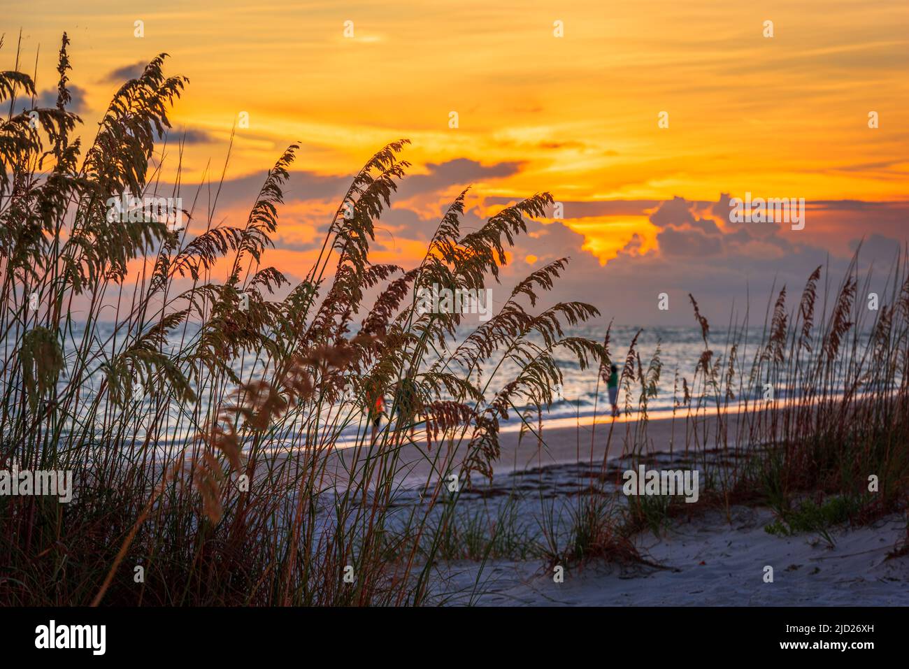 Lido Key Beach, Orlando, Florida, USA bei Sonnenuntergang. Stockfoto