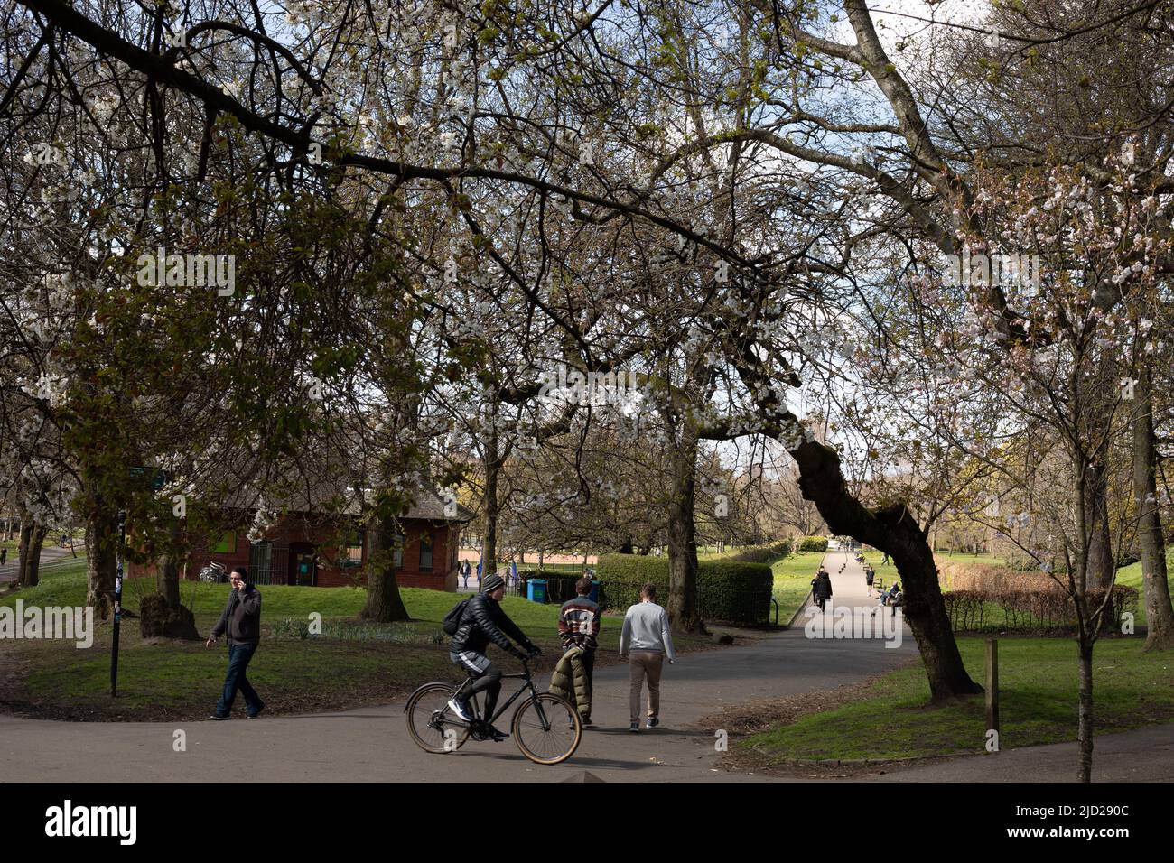 Kelvingrove Park in Glasgow, Schottland, 8. April 2022. N55 51,994' W4 16,748' Stockfoto