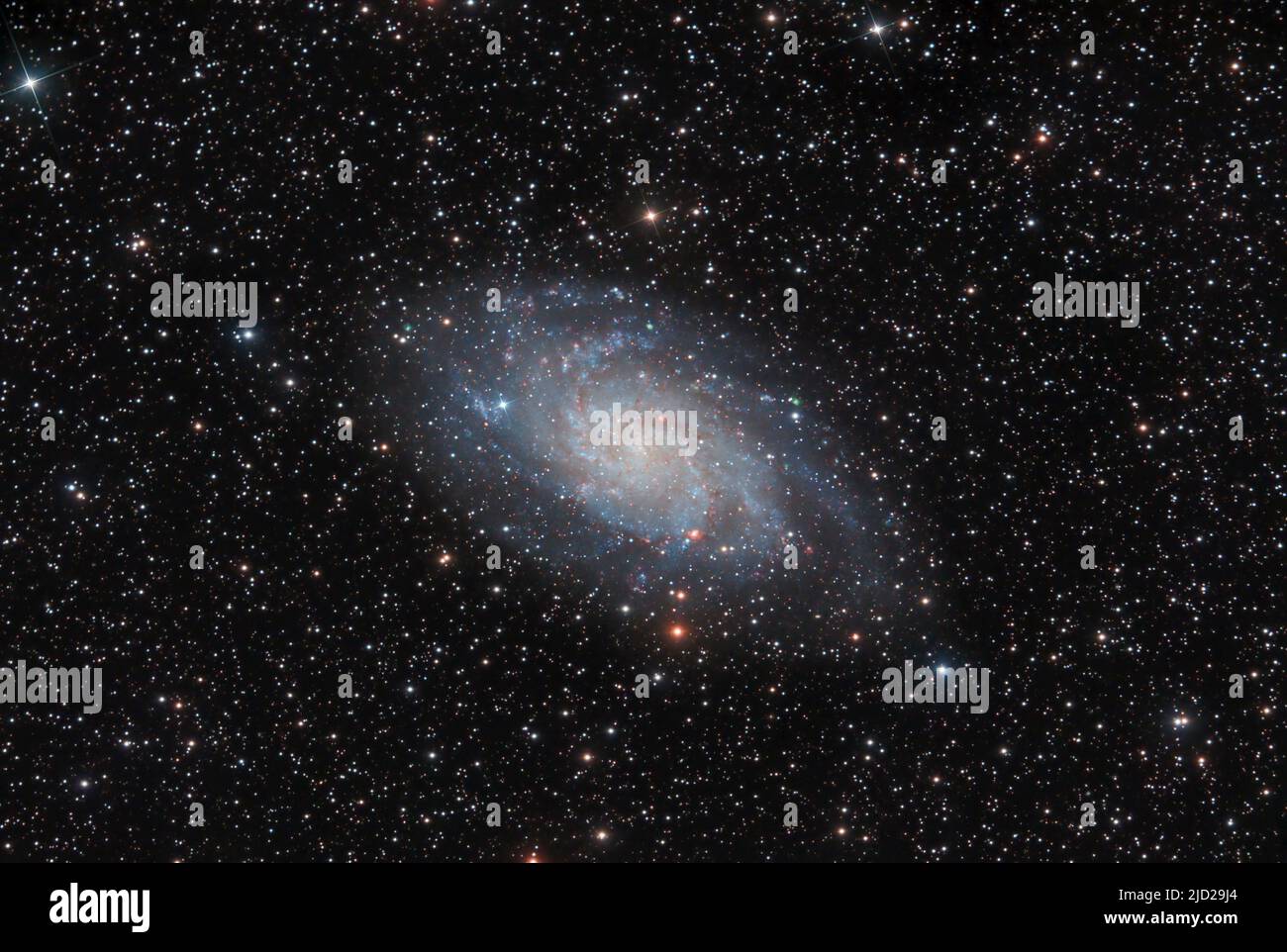 Tringaulum Galaxy, Messier 33 (M33), die große Galaxie im Sternbild Triangulum. Stockfoto