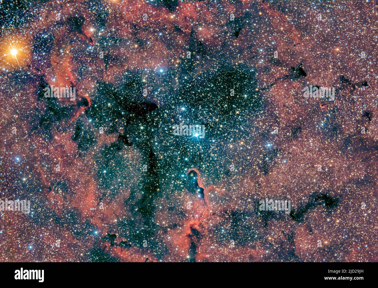 IC 1396 mit der Konzentrierung von dunklem, interstellarem Gas, bekannt als Elefantenrüsselnebel (IC 1396A, unten Mitte) im Sternbild Cepheus. Stockfoto
