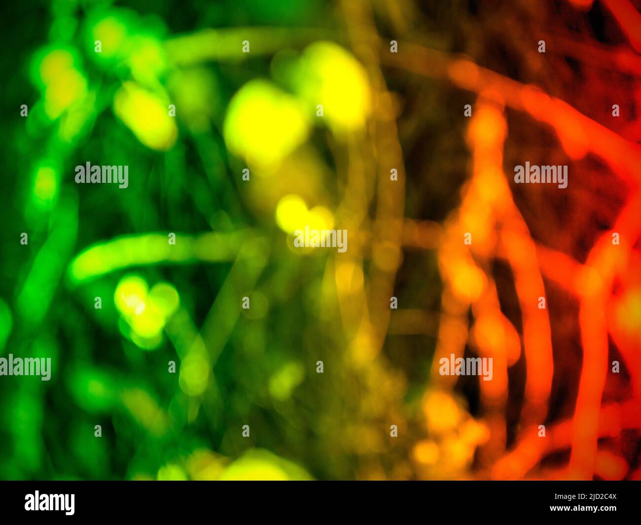 Abstrakter blauer und grüner Hintergrund mit Farbverlauf. Hintergrundbild Stockfoto