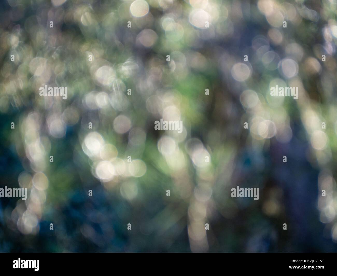 Abstrakter grüner defokussierte Hintergrund. Hintergrundbild Bild Kunst Stockfoto