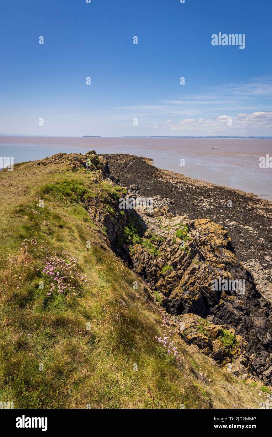 Blick nach Westen vom Sand Point im Bristol Channel mit der walisischen Küste im Hintergrund, Somerset, England Stockfoto