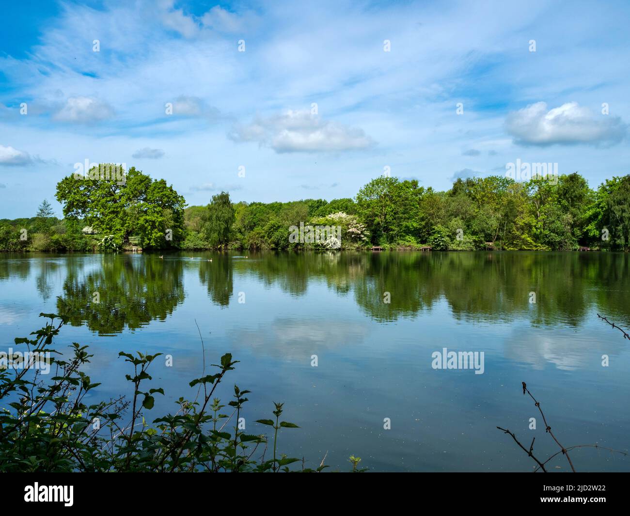 See bei Eastrington Ponds, East Yorkshire, England Stockfoto