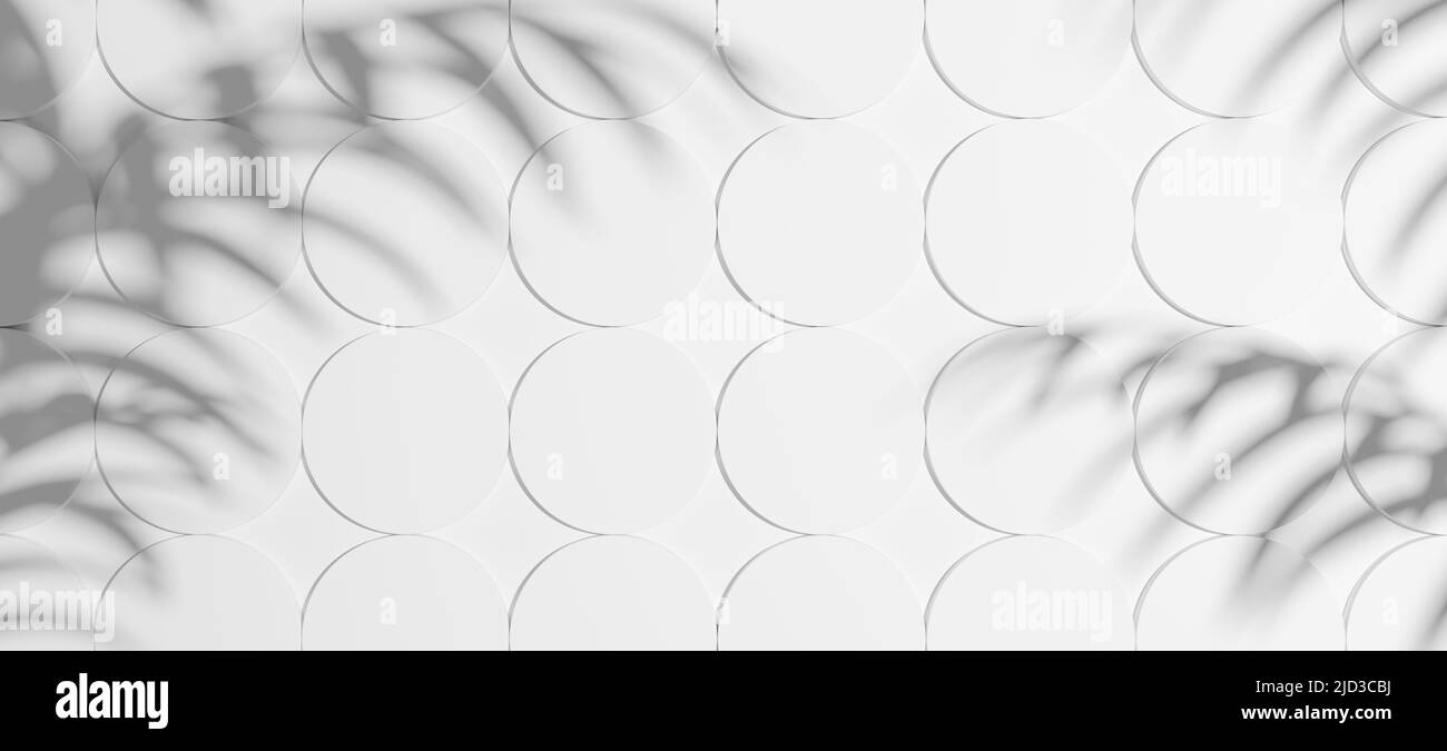 Abstrakter Hintergrund, weiße, runde Tonobjekte mit tropischen Palmenschatten. 3D Render, digital generierter Hintergrund mit Kopierbereich Stockfoto