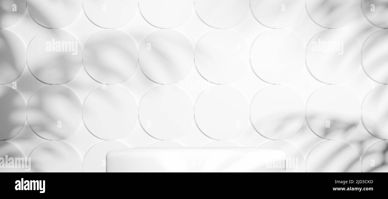 Abstrakter Hintergrund, weißer Tonwürfelständer oder Podium mit tropischen Palmenschatten. 3D Render, digital generierter Hintergrund mit Kopierbereich Stockfoto