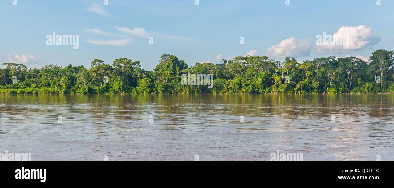 Amazonas-Regenwald-Panorama entlang des Flusses Aguarico, Cuyabeno Wildreservat, Ecuador. Stockfoto