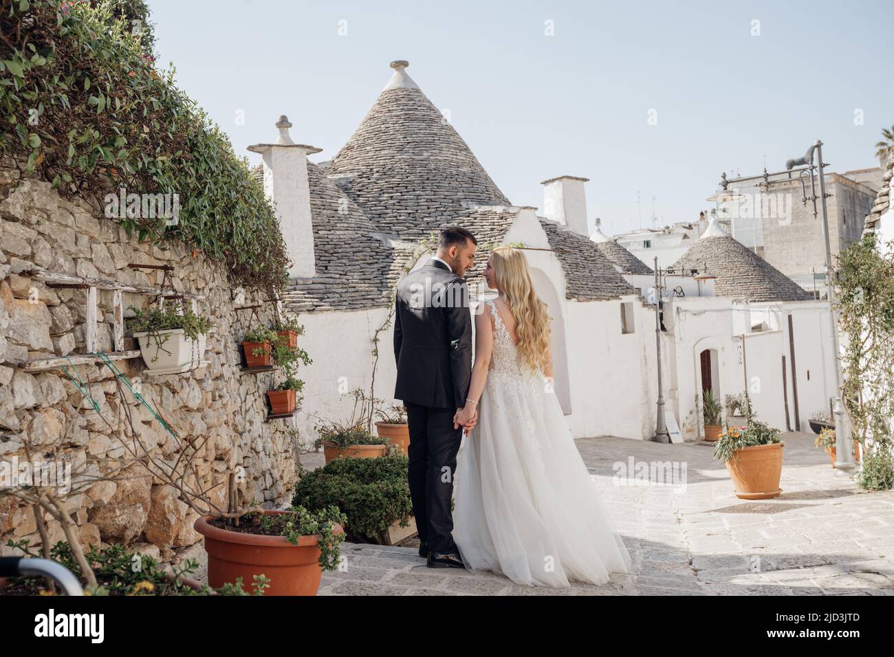 Romantisches Ehepaar, Frau im weißen Hochzeitskleid und Mann im schwarzen Anzug stehen zusammen, Rückansicht Stockfoto