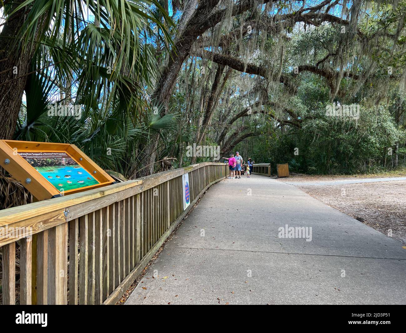 Orange City, FL USA - 4. Februar 2022: Die Promenade am Blue Springs State Park in Orange City, Florida. Am Blue Springs State Park in Orange Cit Stockfoto