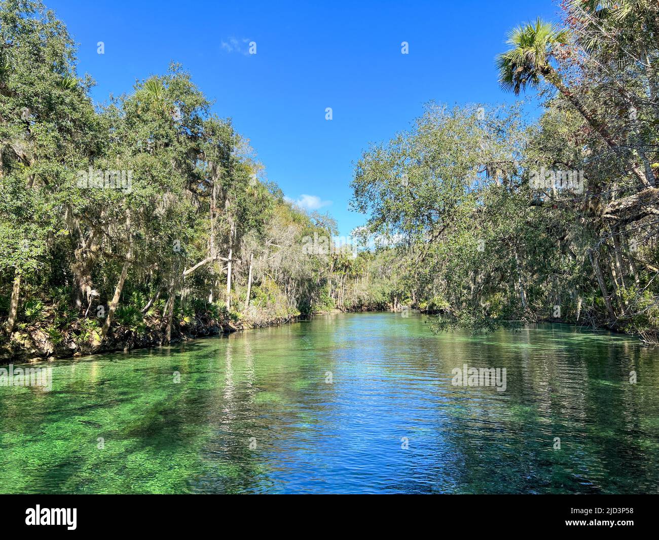 Orange City, FL USA - 4. Februar 2022: Die Quellen im Blue Springs State Park in Orange City, Florida. Stockfoto