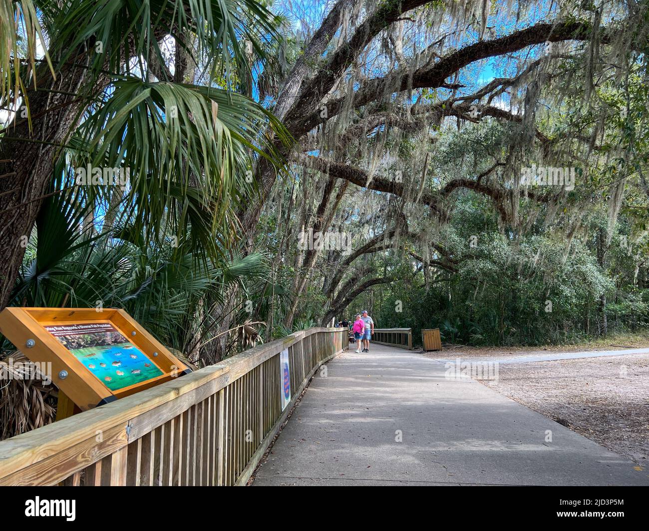 Orange City, FL USA - 4. Februar 2022: Die Promenade am Blue Springs State Park in Orange City, Florida. Stockfoto