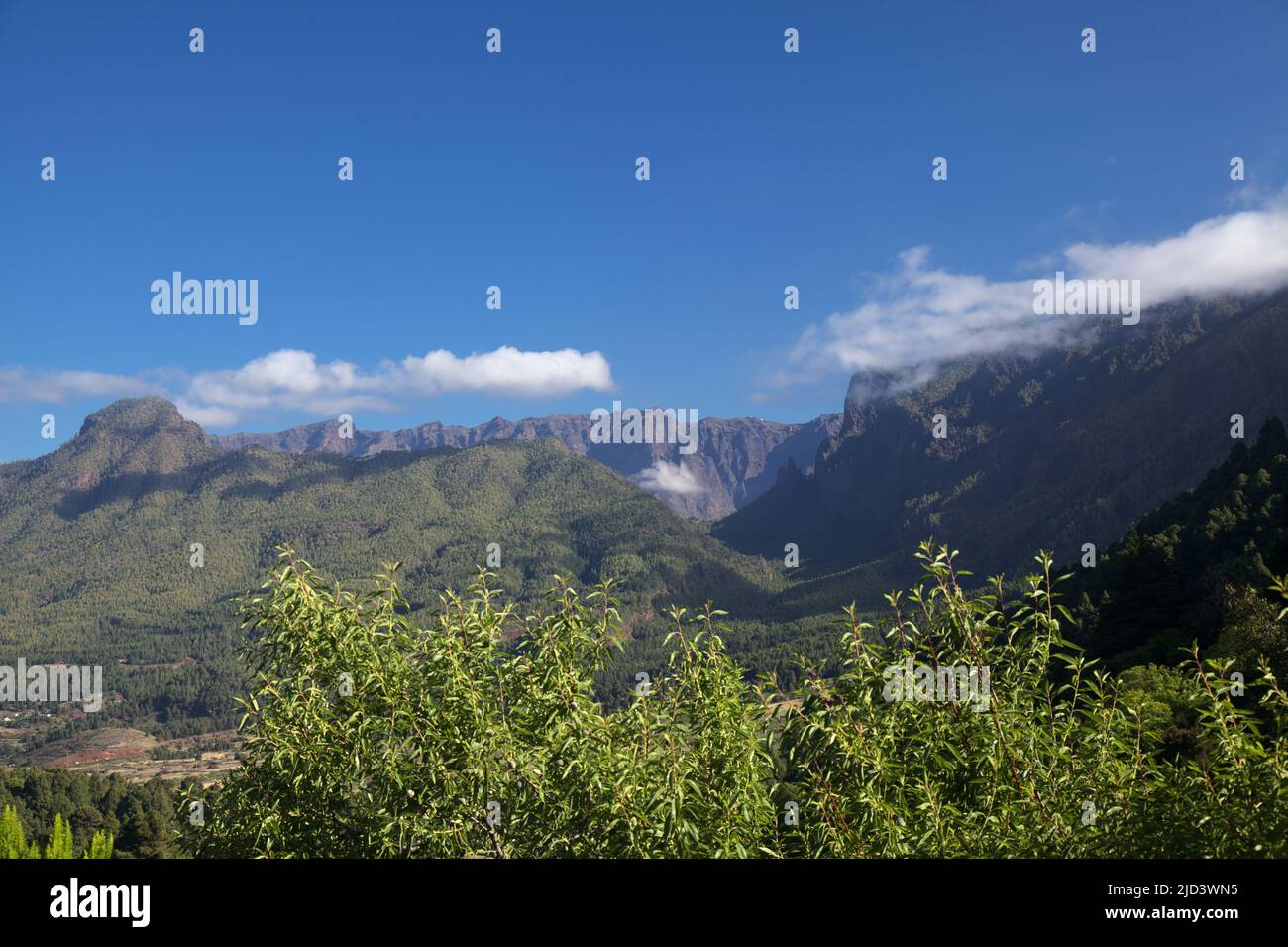 La Palma, Blick auf das höchste Gebiet der Insel, Caldera de Tabiriente, von einem Wanderweg in El Paso Gemeinde Stockfoto