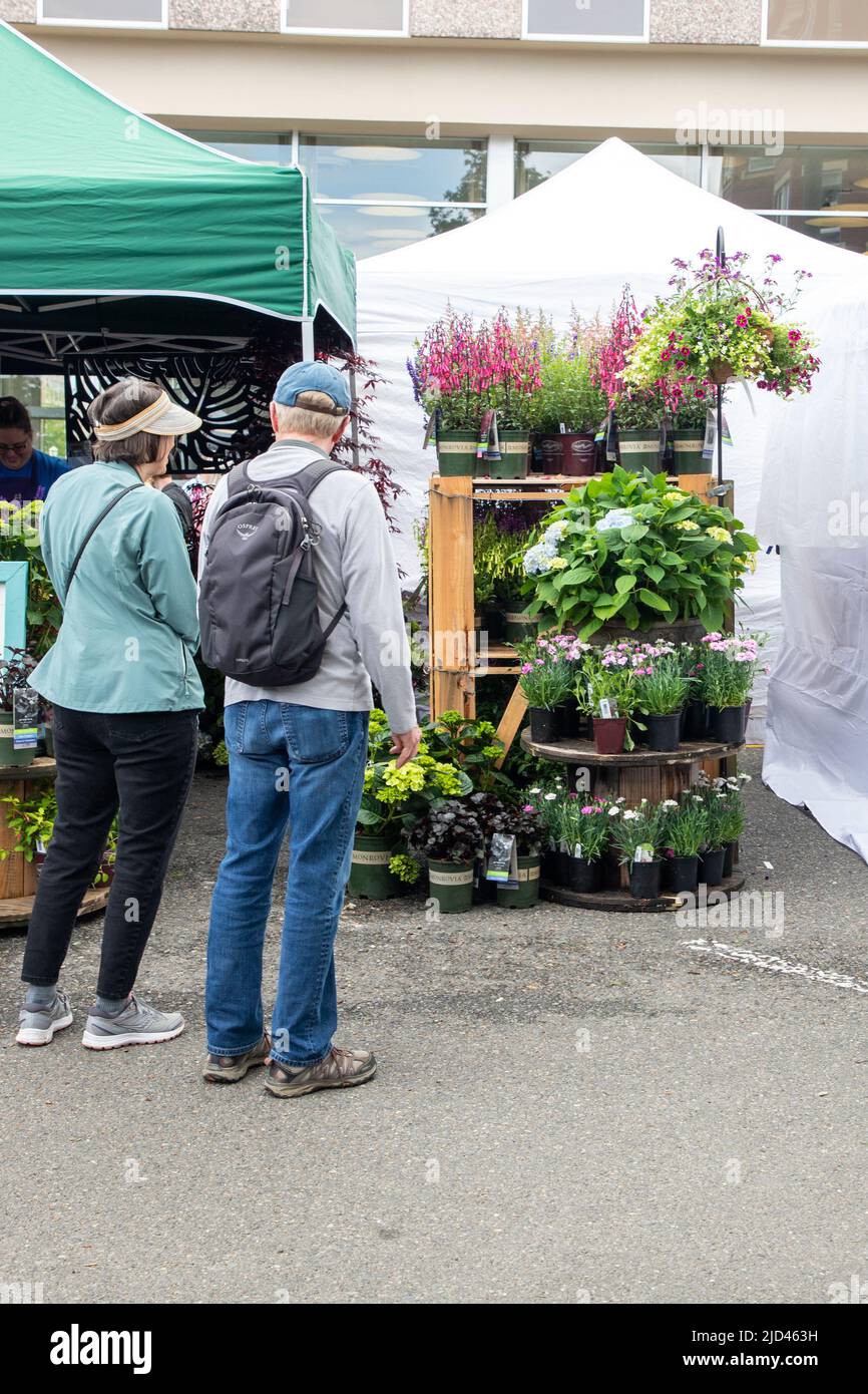 Everett, WA - USA -06-10-2022: Solticulture Garden Art Fair in Downtown ein Verkaufsstand für Pflanzen Stockfoto