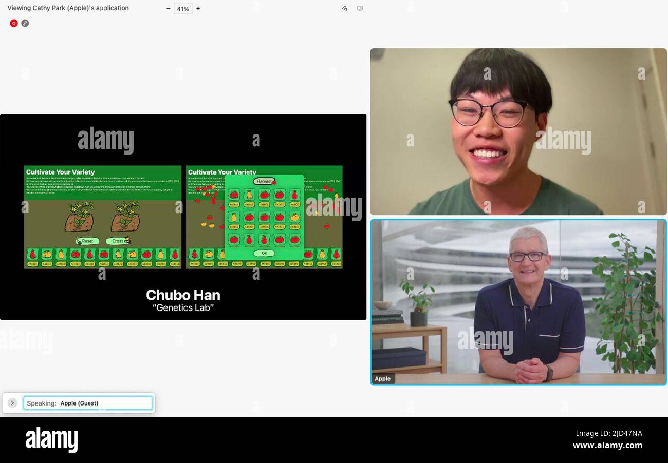 (220618) -- SAN FRANCISCO, 18. Juni 2022 (Xinhua) -- Der Screenshot zeigt den chinesischen Studenten Han Chubo (up, R), der seine Gedanken zu seinem Projekt Genetics Lab teilt, einer App, mit der Benutzer Pflanzen anbauen und virtuell kreuzen können, während eines virtuellen Meetup mit Apple CEO Tim Cook am 5. Juni 2022. „Es ist ein wunderbares Gefühl zu erkennen, dass meine Ideen wertvoll sind, und durch Codierung kann ich sie mit der Welt teilen“, sagte Han Chubo, ein chinesischer College-Student, der 2022 die Swift Student Challenge der Apple Worldwide Developers Conference (WWDC22) gewonnen hat. ZUM Feature: Chinesischer Student gewinnt Apple Swift Challeng Stockfoto