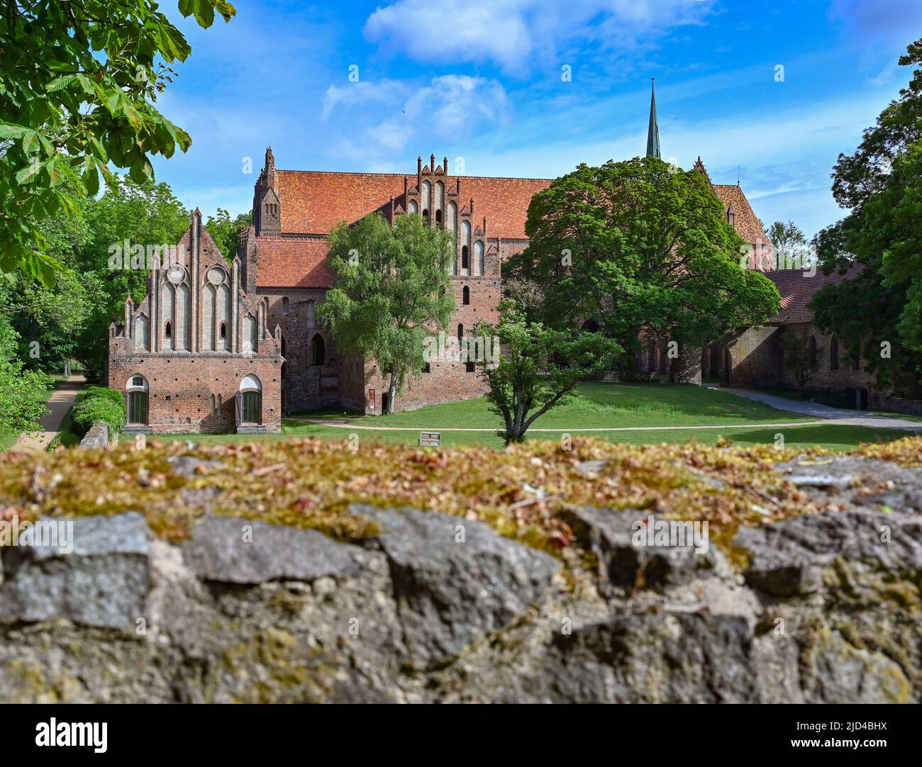 Chorin, Deutschland. 14.. Juni 2022. Das Kloster Chorin. Die Geschichte des Klosters Chorin reicht lange zurück. Das heutige Denkmal mit großer Ausstrahlung jenseits der Region ist den Mönchen zu verdanken, die sich hier vor 750 Jahren niedergelassen haben. Quelle: Patrick Pleul/dpa/Alamy Live News Stockfoto