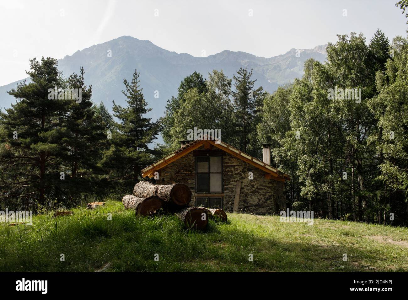 Gran Bosco di Salbertrand in Susa Valley (Turin, Piemont, Italien) Stockfoto