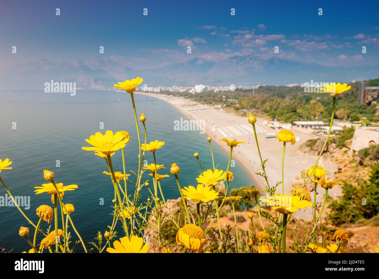 Blumen blühen mit dem berühmten Konyaalti Strand im Hintergrund, landschaftlich schöner Panoramablick von einer Klippe oben. Reiseziele der Türkei und Antalya und Stockfoto
