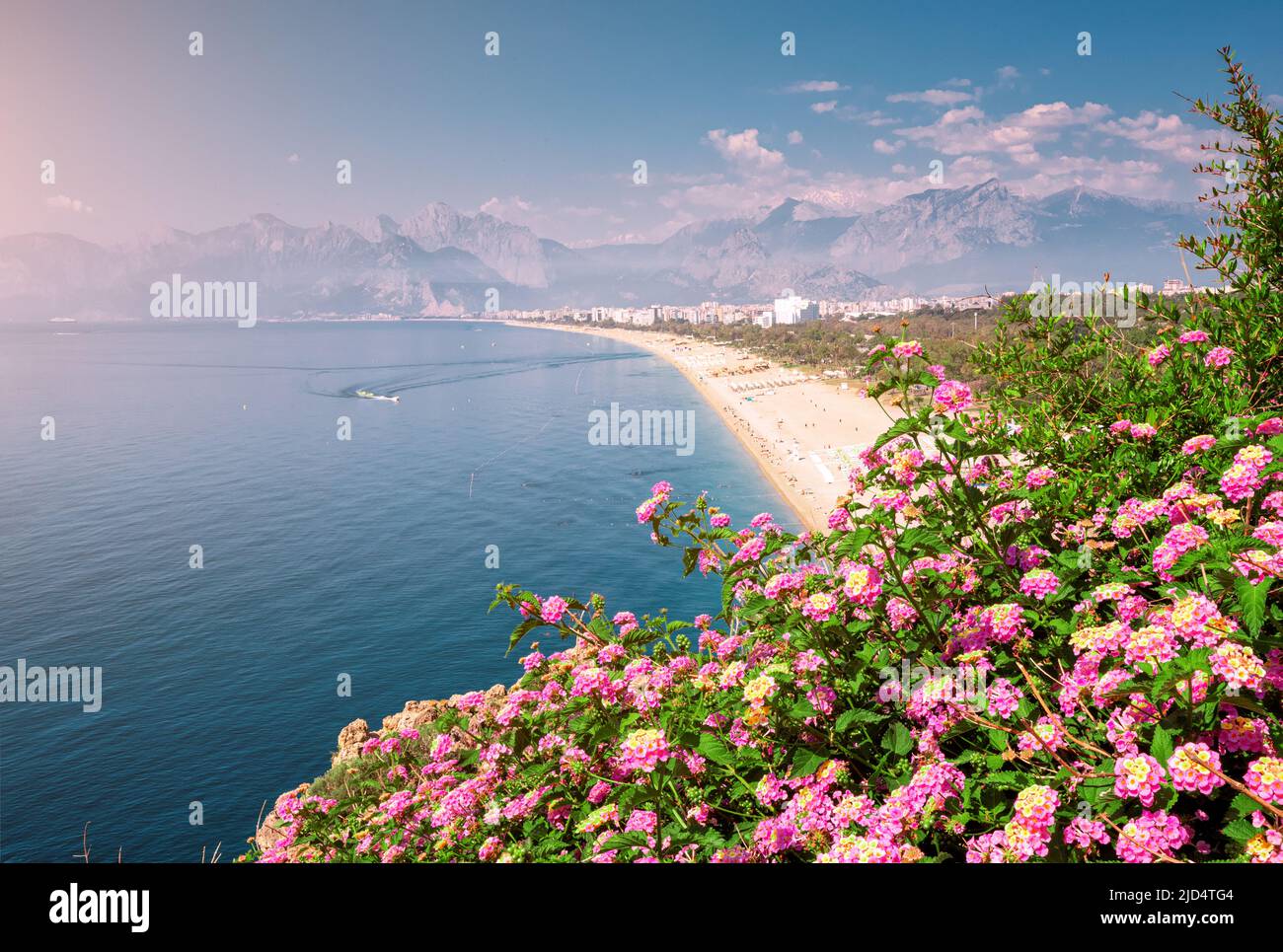 Blumen blühen mit dem berühmten Konyaalti Strand im Hintergrund, landschaftlich schöner Panoramablick von einer Klippe oben. Reiseziele der Türkei und Antalya und Stockfoto