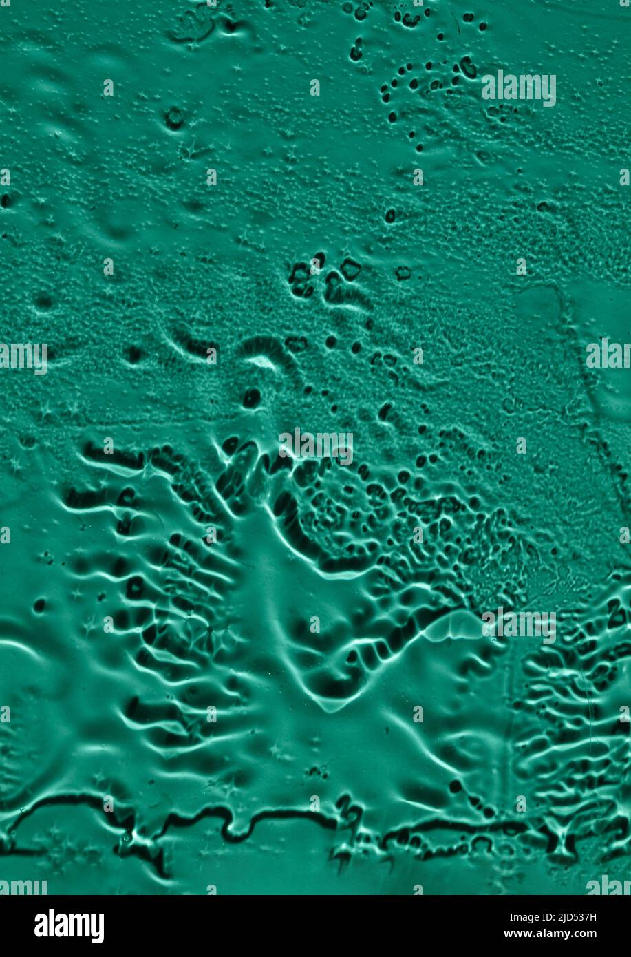 Wasser tropft, Streifen auf dem Glas auf grünem Hintergrund. Stockfoto