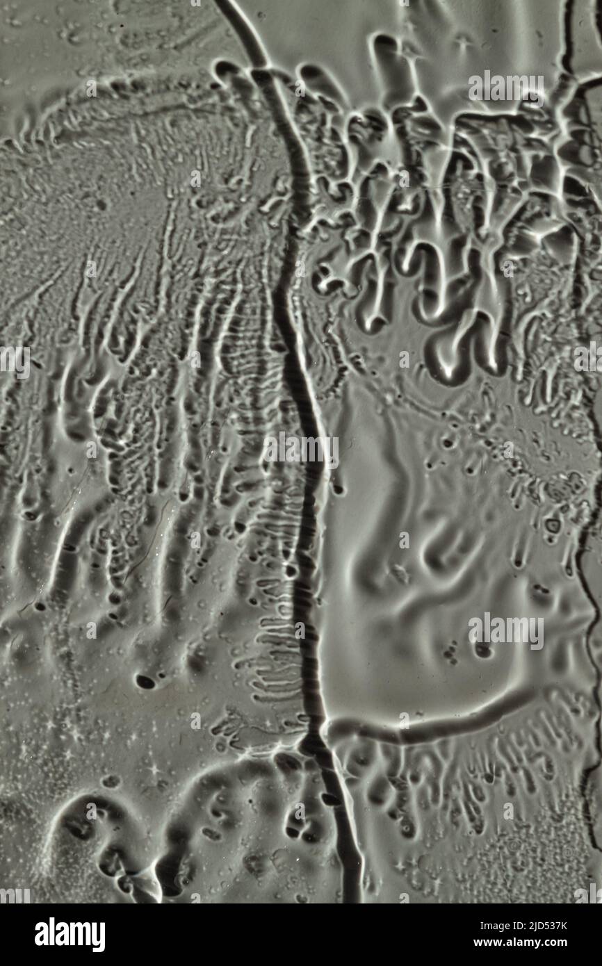 Wasser tropft, Streifen auf dem Glas auf grauem Grund. Stockfoto