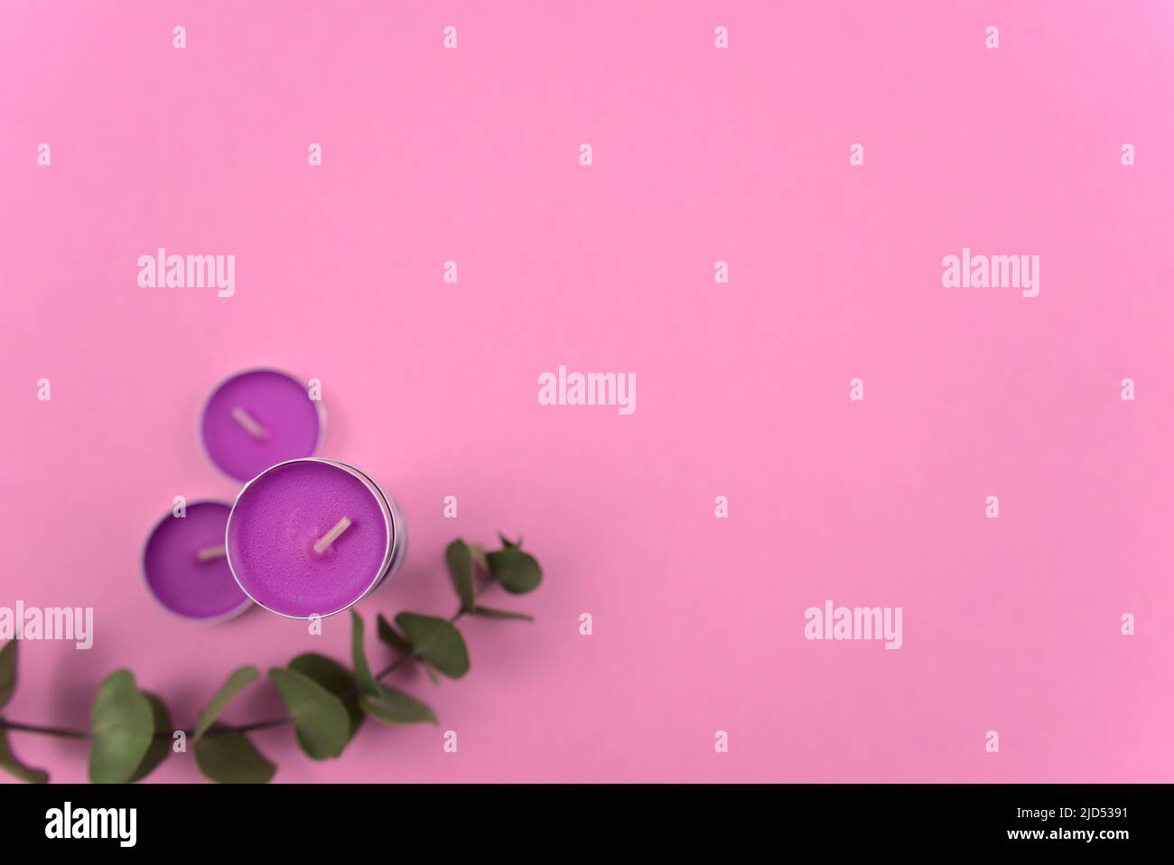 Magentafarbene Teelichter mit Eukalyptusblatt-Stiel liegen flach auf rosa Pastelltönen. Stockfoto