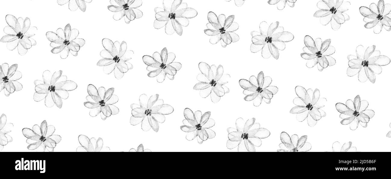 Blühendes Aquarell-schwarzes Muster. Frühlingsblume in Blüte auf Zweig. Wunderschöne Sommerdarstellung. Handzeichnung skizzieren. Japanische Aquarellkarte. Set mit Sakura-Designelementen. Isolierter weißer Hintergrund Stockfoto