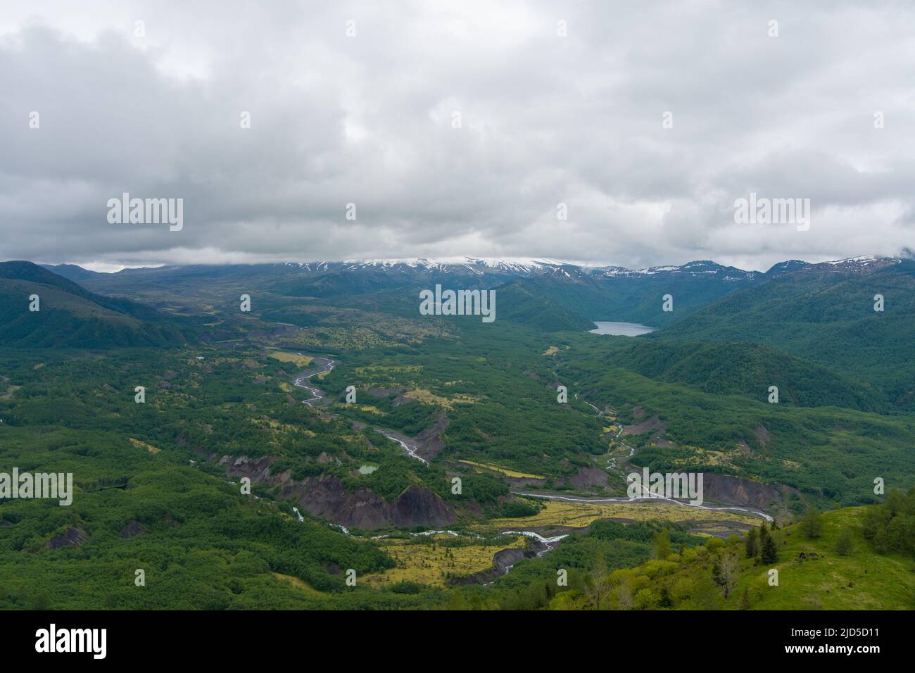 Mount St. Helens an einem nebligen Tag im Juni Stockfoto