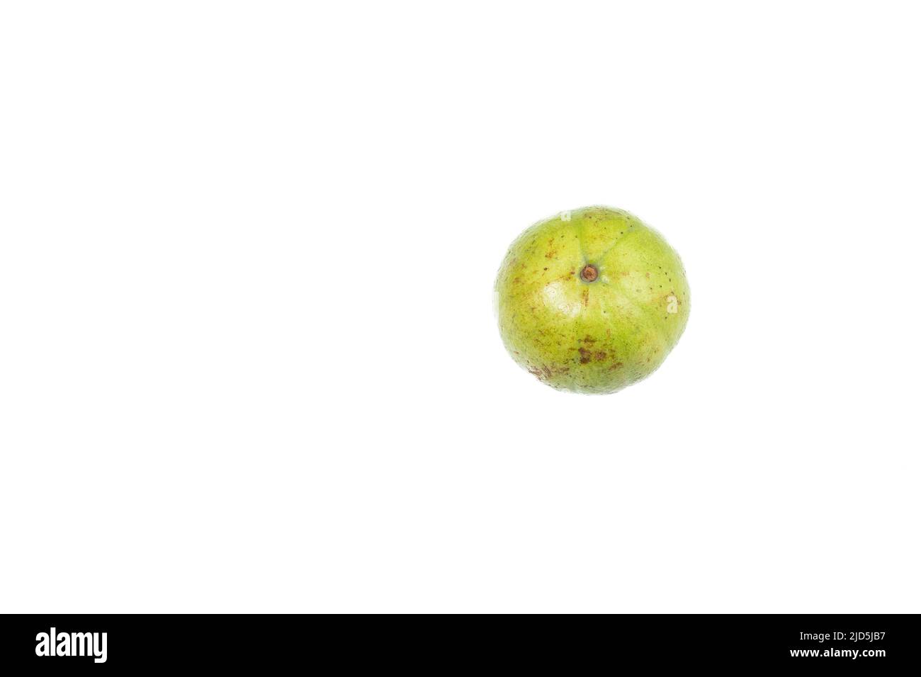 Psidium Guajava - Leckere Und Gesunde Frucht Guava Apfel Stockfoto