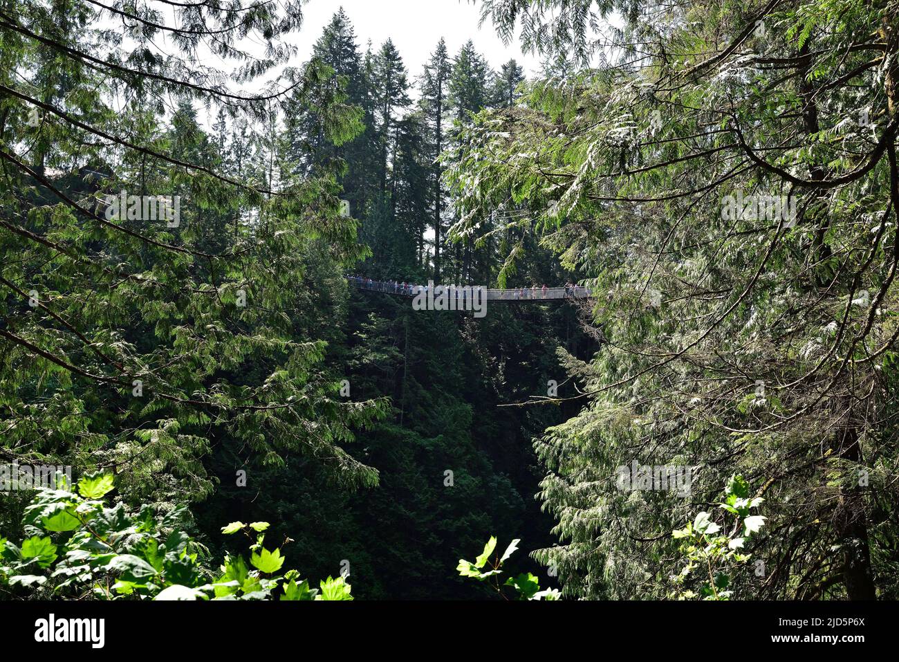 VANCOUVER, BRITISH COLUMBIA, KANADA, 31. MAI 2019: Besucher erkunden den Capilano Suspension Bridge Park in North Vancouver, Capilano Suspension Brid Stockfoto