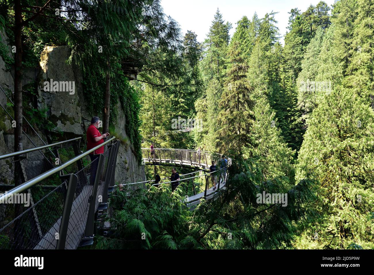 VANCOUVER, BRITISH COLUMBIA, KANADA, 31. MAI 2019: Besucher erkunden den Capilano Cliff Walk durch den Regenwald. Die beliebten Hängewege ragen Stockfoto