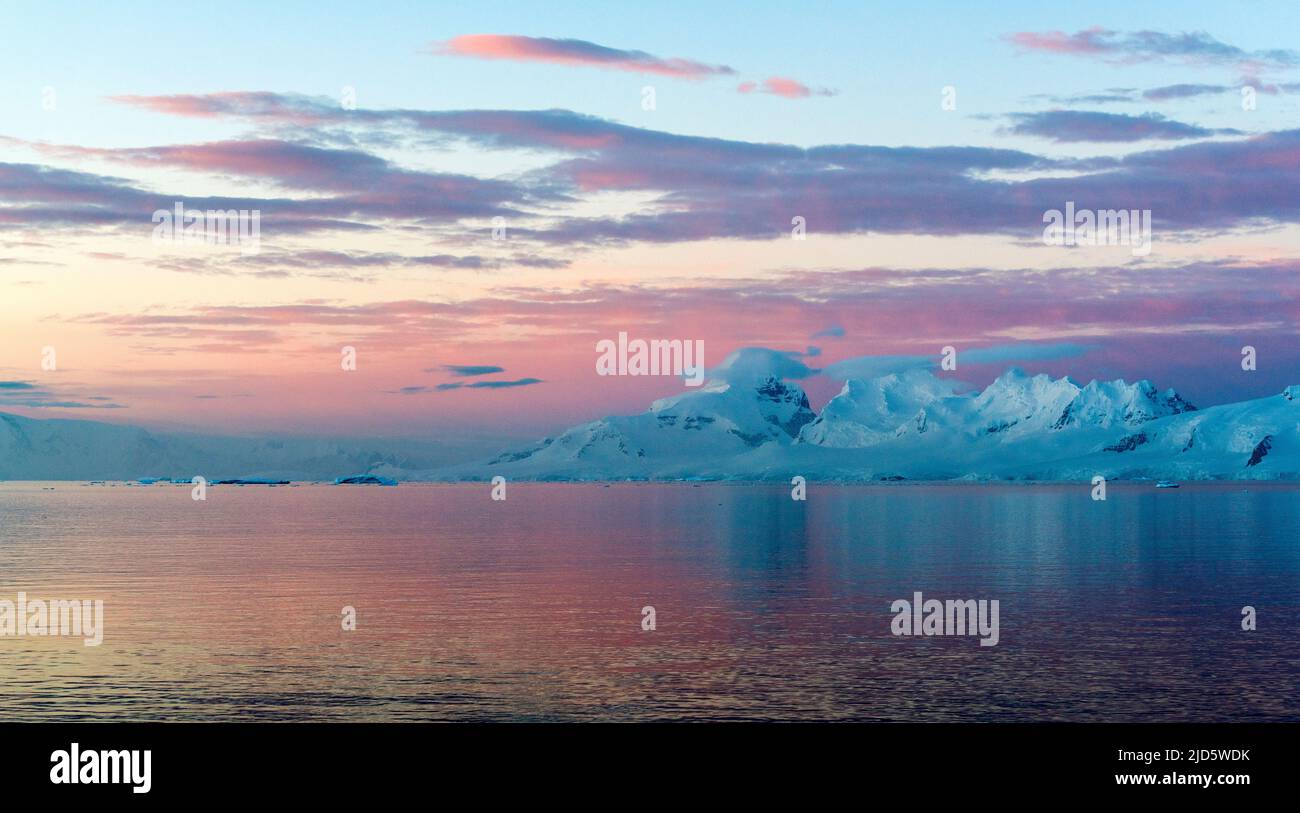 Frühmorgens Zwielicht und ein einsamer Gentoo-Pinguin in der Gerlache Strait, der Antarktischen Halbinsel. Stockfoto