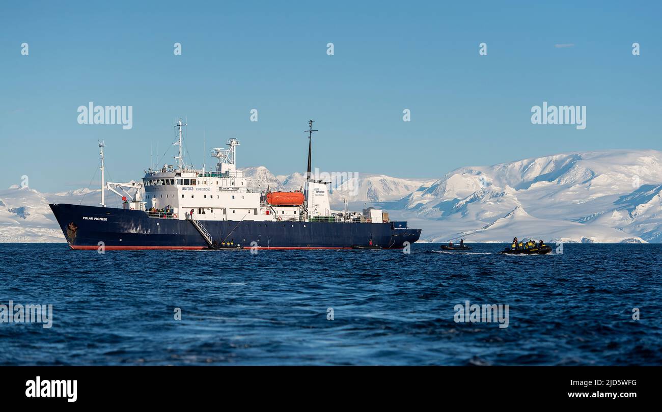 Das Expeditionsschiff MS Polar Pioneer und seine Zodiacs bei Hydruga Rocks, dem Palmer Archipel, der Antarktis. Stockfoto