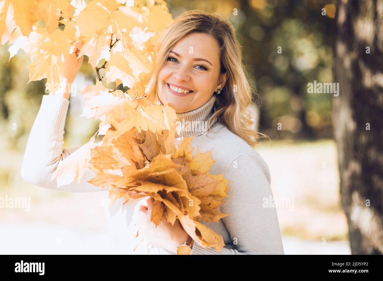 Charmante blonde Frau in Kaschmir leichten Pullover mit Bouquet von gelben Ahornblättern in ihren Händen geht an sonnigen Tag im Park. Blattfall. Farben von Stockfoto