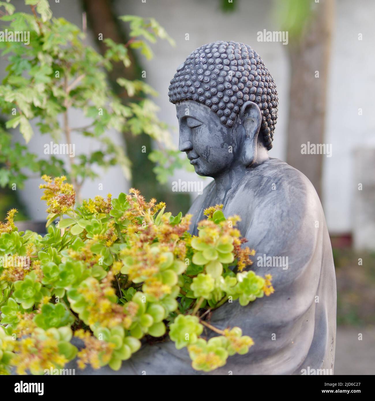Buddha-Statue Nahaufnahme selektiv konzentriert auf die Nase, mit Blumen. Stockfoto
