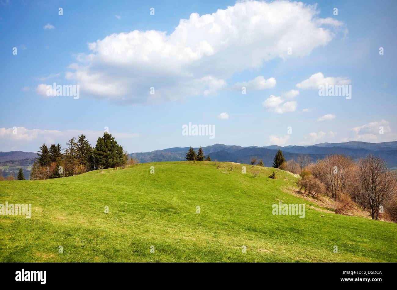 Blick auf die Pieniny (das Pieningebirge) an einem sonnigen Tag, Polen. Stockfoto