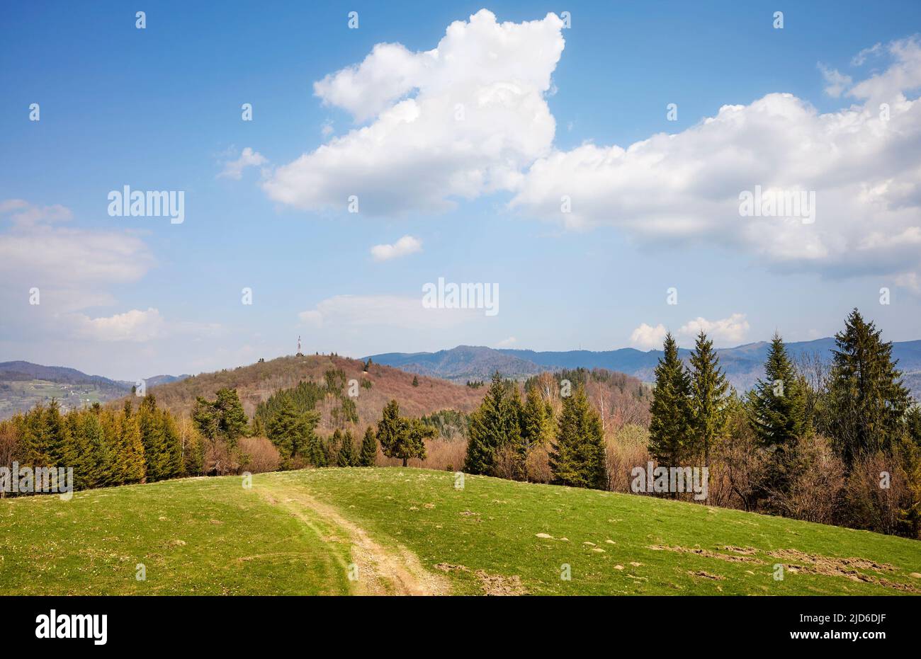 Blick auf die Pieniny (das Pieningebirge) an einem sonnigen Tag, Polen. Stockfoto