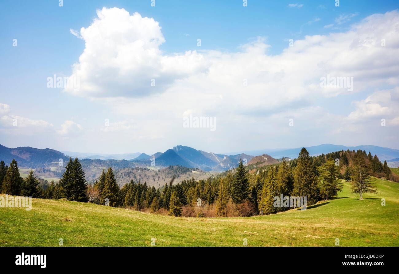 Panoramablick auf Pieniny (Pieningebirge), Polen. Stockfoto